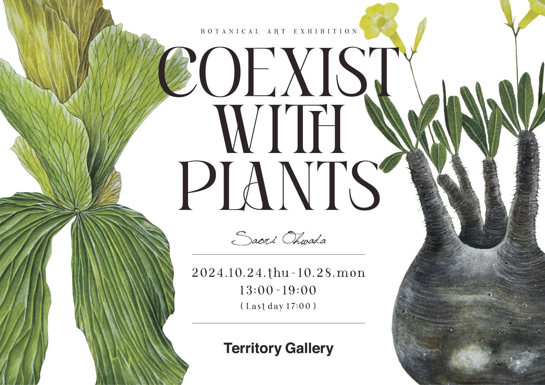 Saori Ohwada Solo Exhibition 「COEXIST WITH PLANTS」