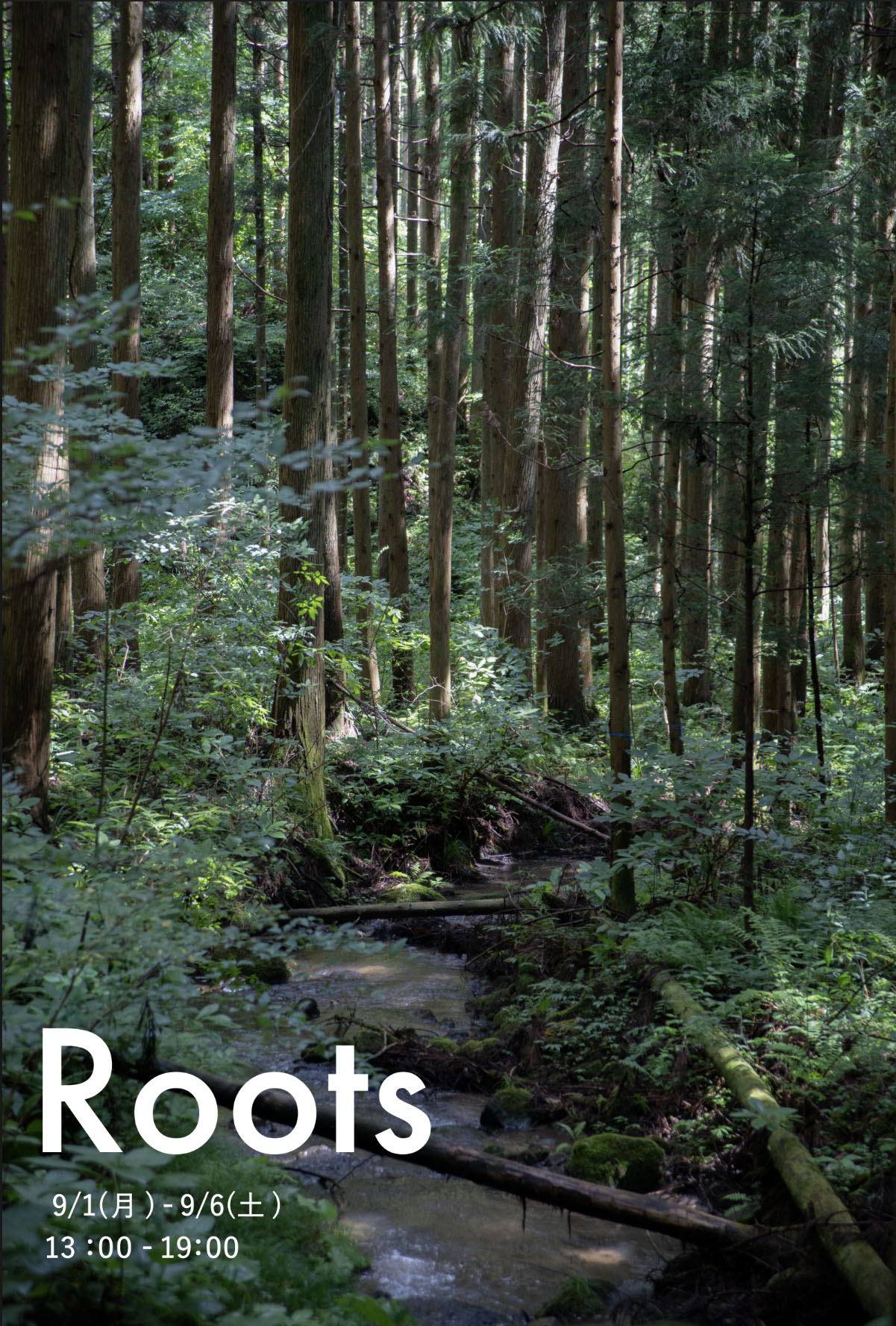 Kiara Kanbe / Shin Hashimoto「Roots」